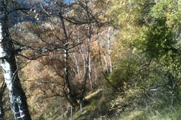 Gorges de la Borgne